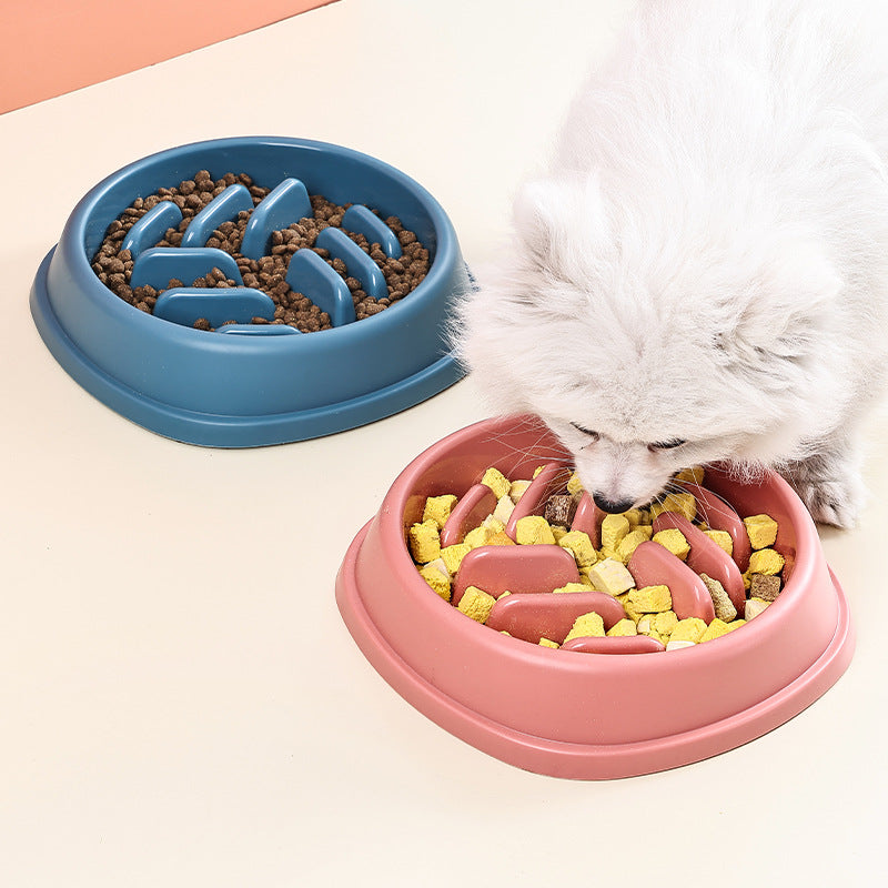 Petora Slow Feeder Bowl for Dogs & Cats | Anti-Choking Interactive Food Bowl