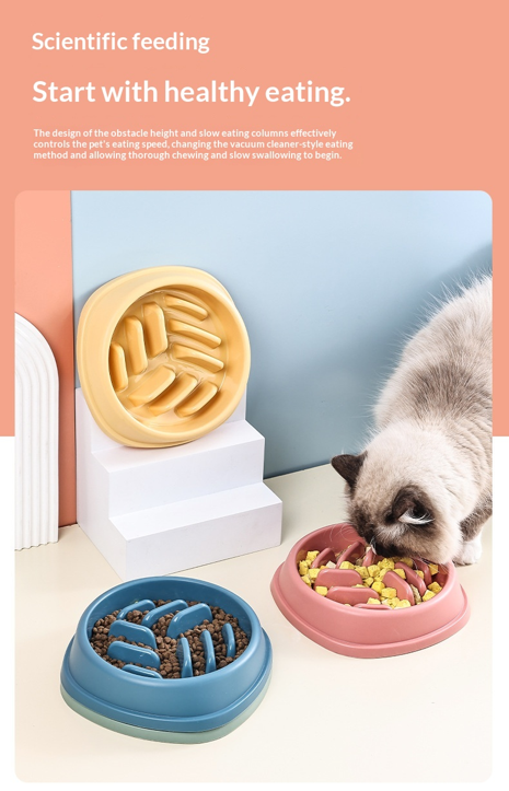 Petora Slow Feeder Bowl for Dogs & Cats | Anti-Choking Interactive Food Bowl