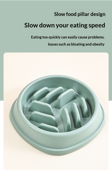 Petora Slow Feeder Bowl for Dogs & Cats | Anti-Choking Interactive Food Bowl
