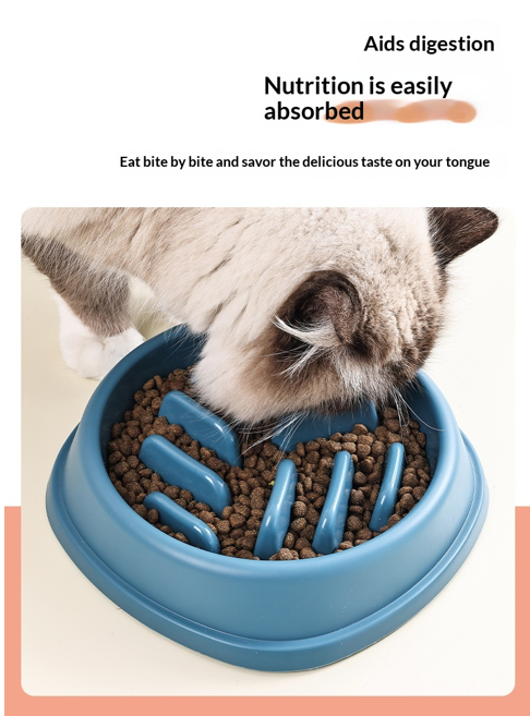 Petora Slow Feeder Bowl for Dogs & Cats | Anti-Choking Interactive Food Bowl